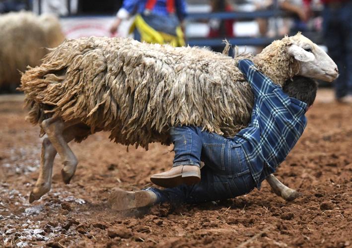 Lake Martin Rodeo