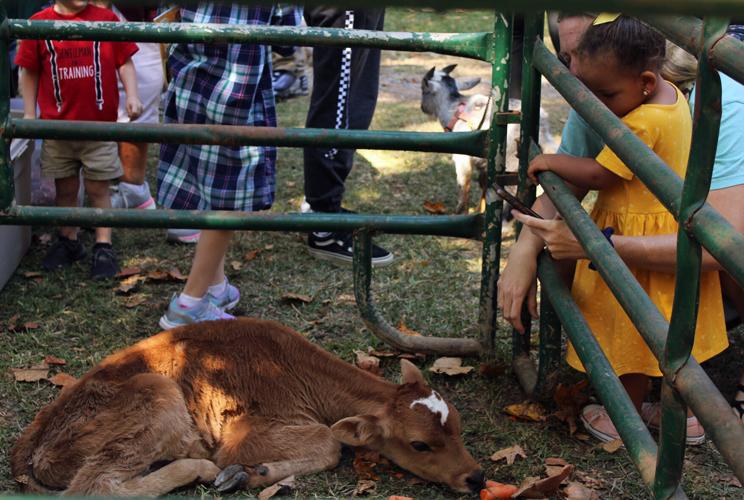 PHOTOS: Oktoberfest kicks off in Alexander City