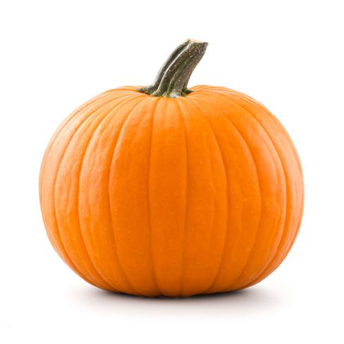 Stock Pumpkin isolated on white background