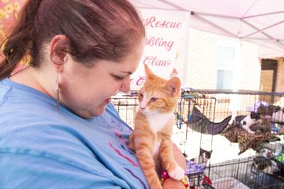 Wetumpka resident's love for animals leads to thriving cat rescue