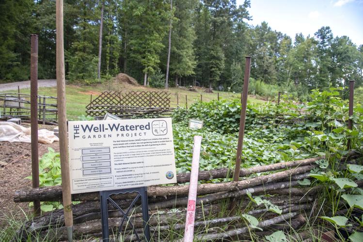 Noah Sander's Garden