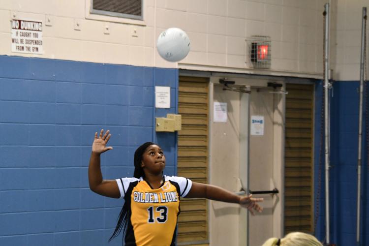 PHOTOS: Alex City Parks and Rec volleyball second night of games
