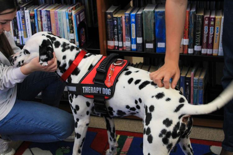 PHOTOS: Therapy dog comes to Dadeville Library