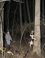 Champions of the Night