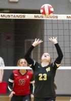 PHOTOS: Stanhope volleyball defeats Wetumpka