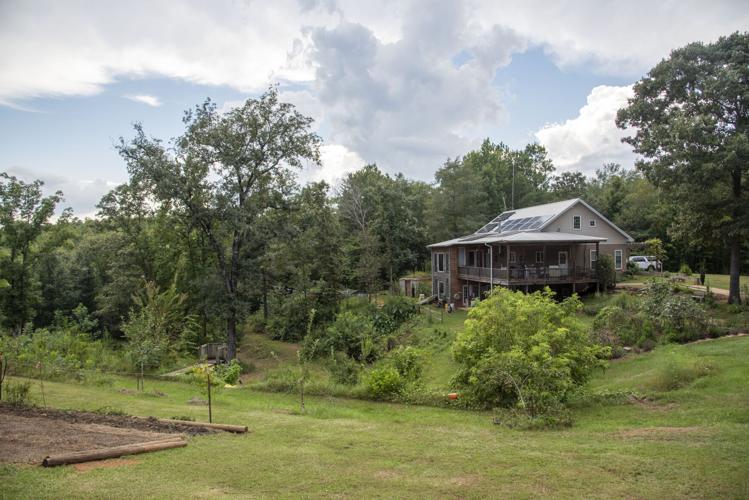 Noah Sander's Garden