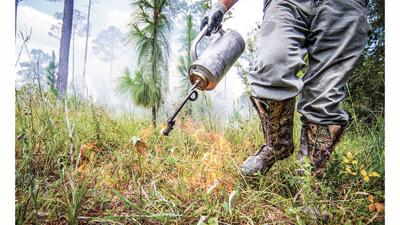 Prescribed burn scheduled at Wind Creek Park this month