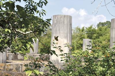 Jasmine Hill Gardens turns 90