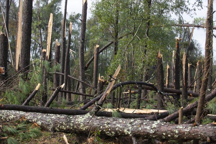 PHOTOS: Storm damage across Elmore County