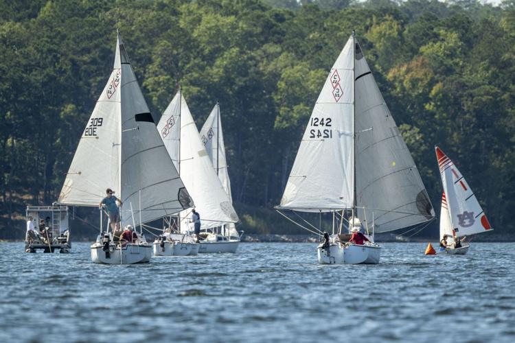 Dixie Sailing Club Regatta