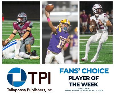 fan choice - 1