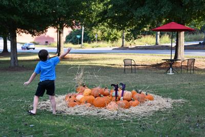 TRICK-OR-TREAT CHEAT SHEET: How to stay safe this Halloween