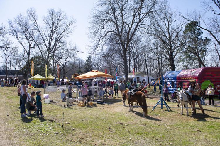PHOTOS: Order of Cimmaron Mardi Gras Parade in Wetumpka