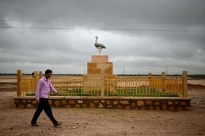 A statue to the Great Indian Bustard in India's desert state of Rajasthan