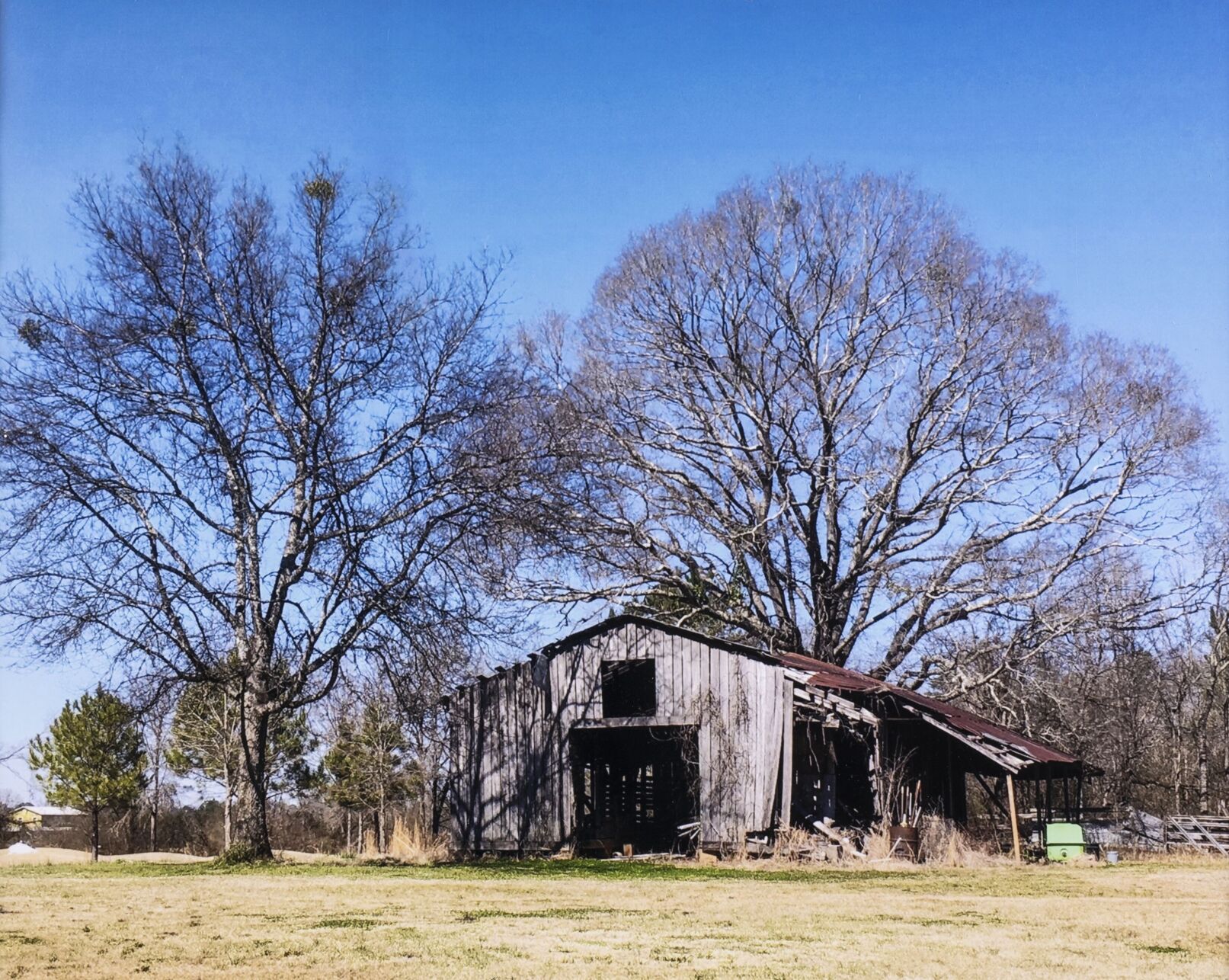 Lake Martin Living Art & Photo Contest