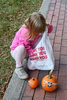 PHOTOS: The Great Pumpkin Patch at Strand Park