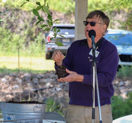 PHOTOS: Plants in the Park