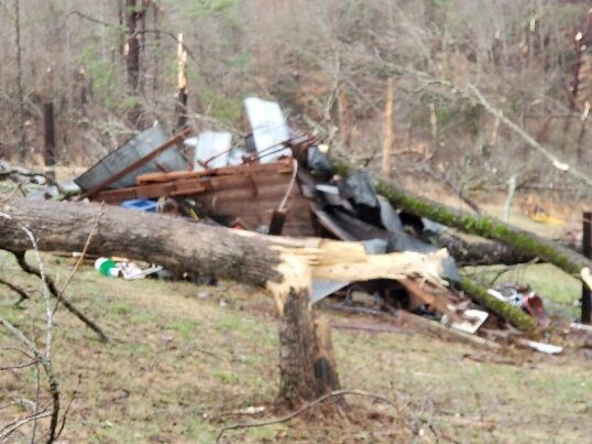 PHOTOS: Damage from tornado-warned storm across Tallapoosa County