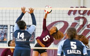 Wildcats debut new gym with strong showing