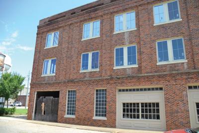 Hotel Talisi invaded by group of feral cats