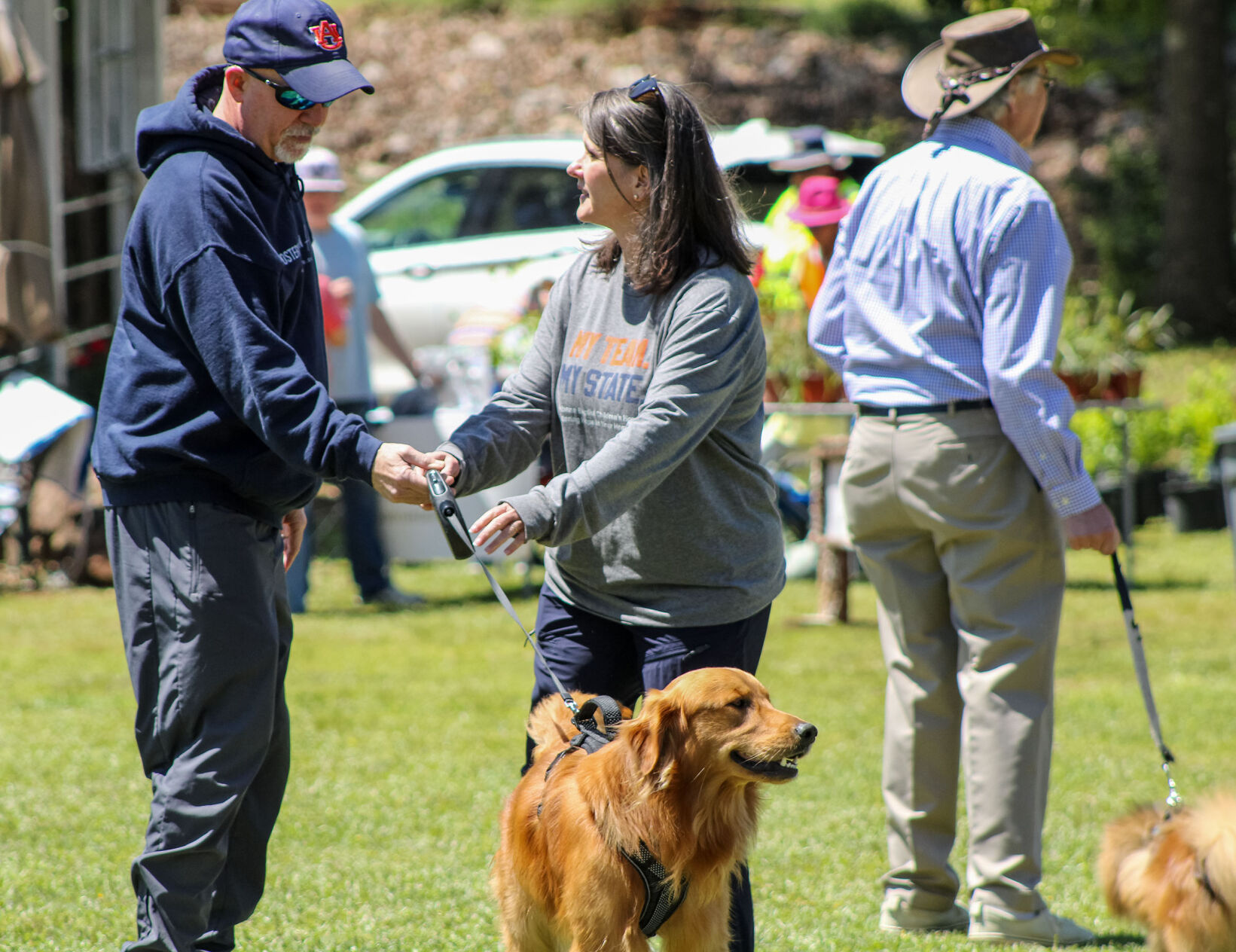 PHOTOS: Plants in the Park