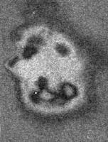 Truth about the face: Is Henry Wells the face in the courthouse window?