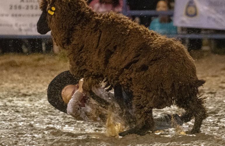 PHOTOS: Benjamin Russell FFA Alumni Rodeo