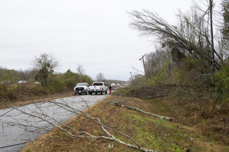 PHOTOS: Storm damage across Elmore County