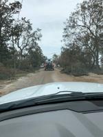 Lake Martin's salvage crew battles hurricane cleanup