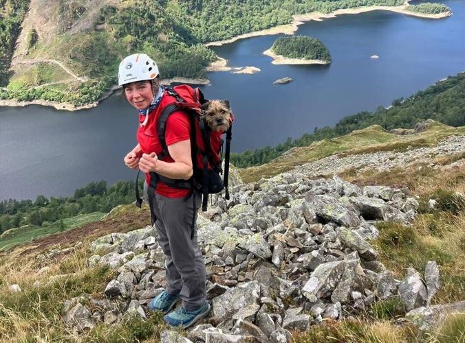 Dog rescued after three weeks lost on Lake District mountain