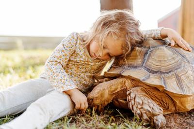 THE GREAT ESCAPE Giant pet tortoise roams Reeltown