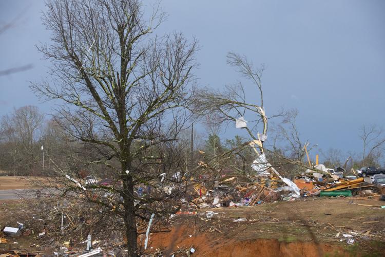 PHOTOS: Tornado damage from the Lightwood community