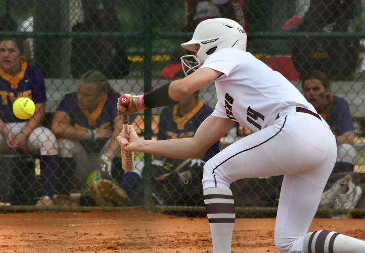 PHOTOS: Elmore County punches ticket to state with victory over Tallassee