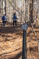 First Day Hike