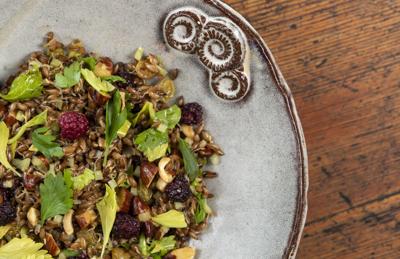 Sprouted Rye Berry Salad