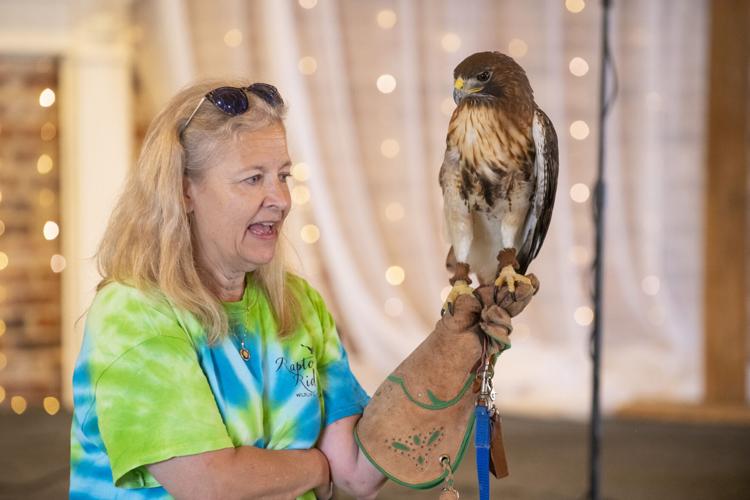 PHOTOS: Eclectic's Raptor Ridge brings raptors to library program