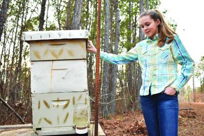 QUEEN BEE: 13-year-old Daviston girl tends to hive of bees after falling in love with hobby