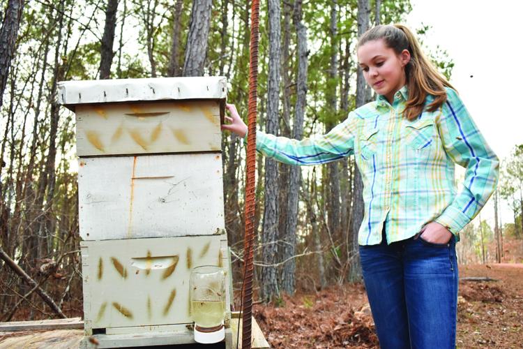 QUEEN BEE: 13-year-old Daviston girl tends to hive of bees after falling in love with hobby