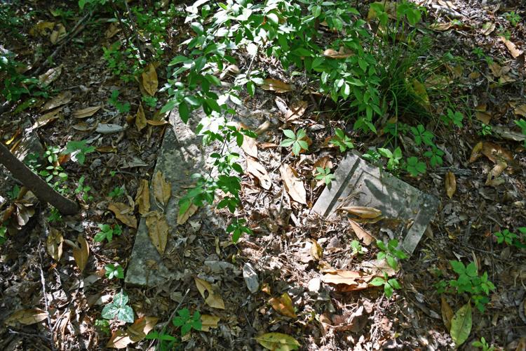 PHOTOS: Dozens of old Youngsville graves lie in the woods of the Russell Mills estate