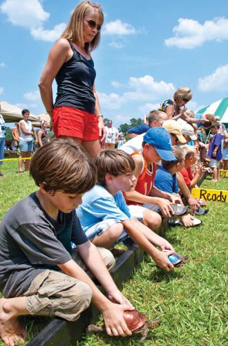 Turtle racing event that used to attract large crowd would celebrate 40 years this month