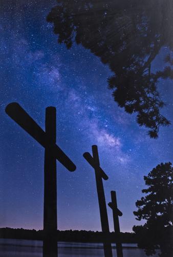 Art & Photography Contest Winners