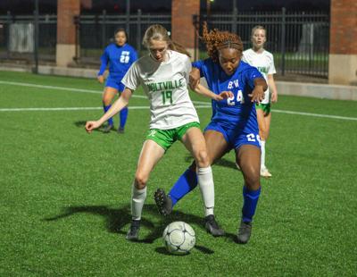 2024 All-Elmore County Girls Soccer Team