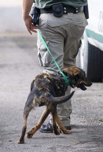 16 cats, 14 dogs, 3 pigs, 1 duck seized in Dadeville animal cruelty case