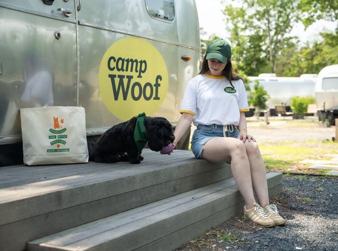 Woof HERO Image