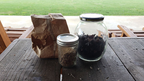 Before the Frost Hits