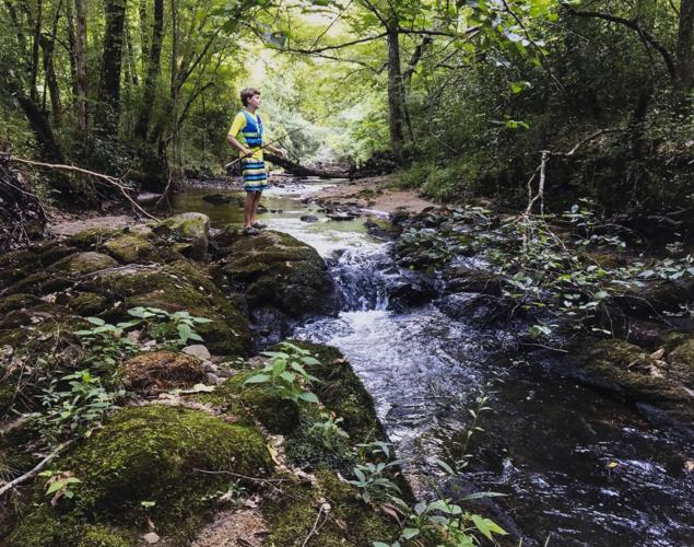 Lake Martin Living Art & Photo Contest