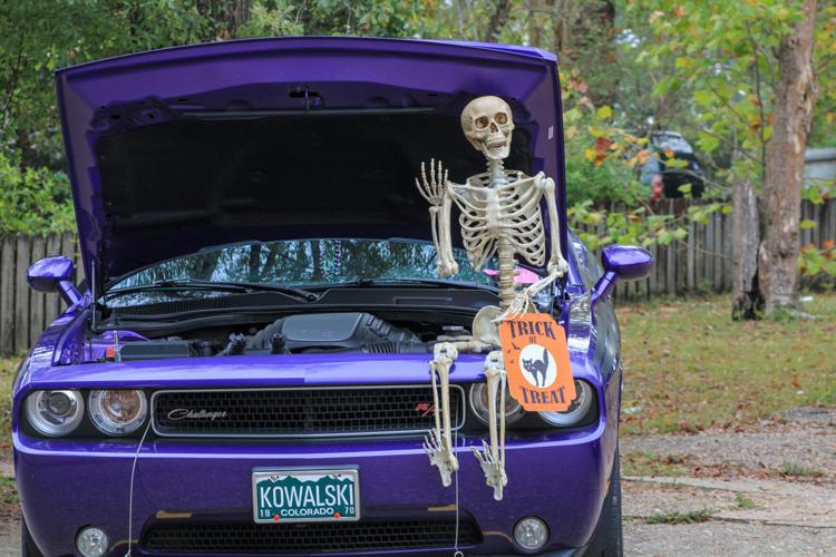 PHOTOS: 2023 Alabama Cotton Festival