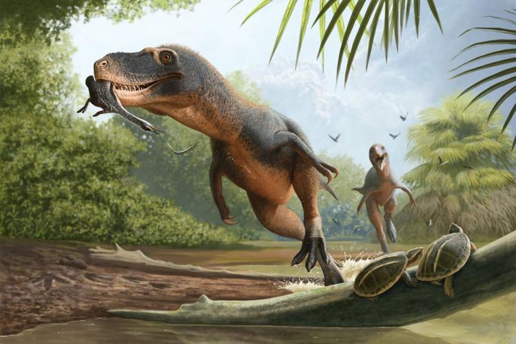 Feather preserved in dinosaur dung could explain why birds survived mass extinction