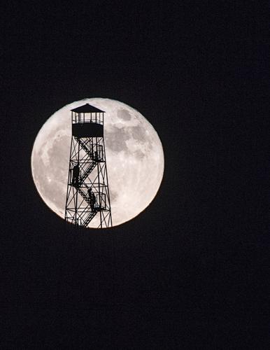 Summer Nights at Lake Martin