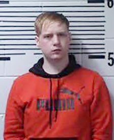 Elmore County sex offender gets 20 years in prison